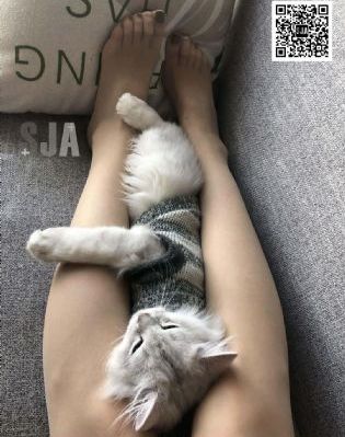 爱情心心相印