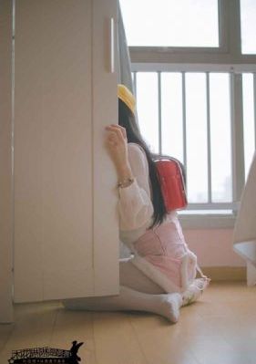 百兽战队