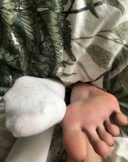 迷你特工队之超级恐龙力量