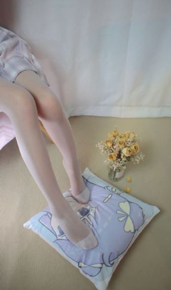 狐狸的夏天