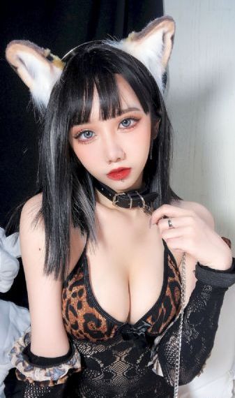电影万有引力