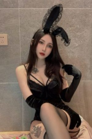 绿皮书免费看完整版