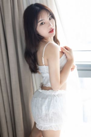 茶杯孤cupfox