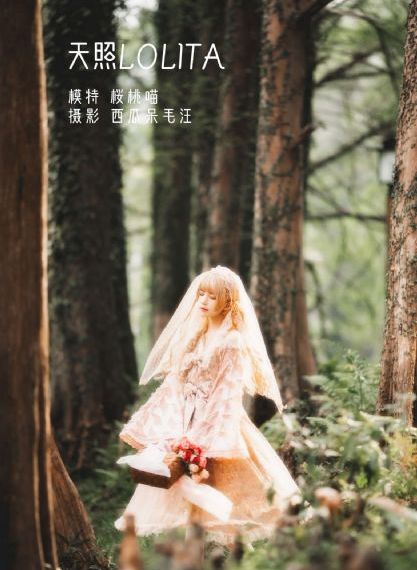 高小姐计划
