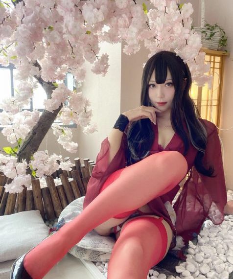 冬后是樱花 电视剧