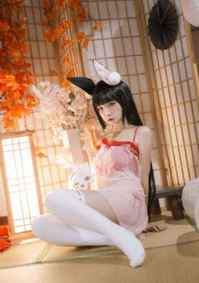 巨乳女士官