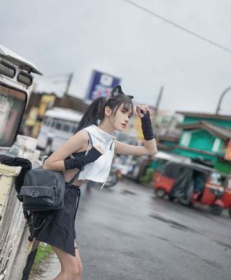 法国电影《碧血青天》
