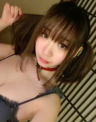 铿锵锵锵锵免费观看免下载