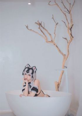 故事的故事观看完整版视频