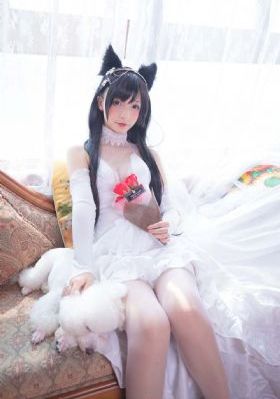 单身即地狱免费观看完整版